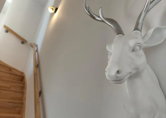 Escapade Aux Dunes Casa de Férias Brétignolles-sur-Mer